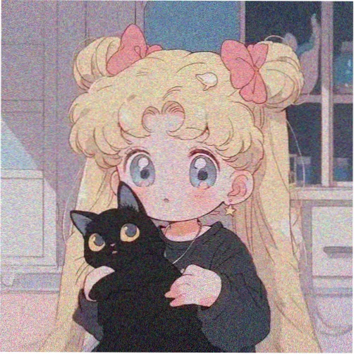 专栏主持木苏头像